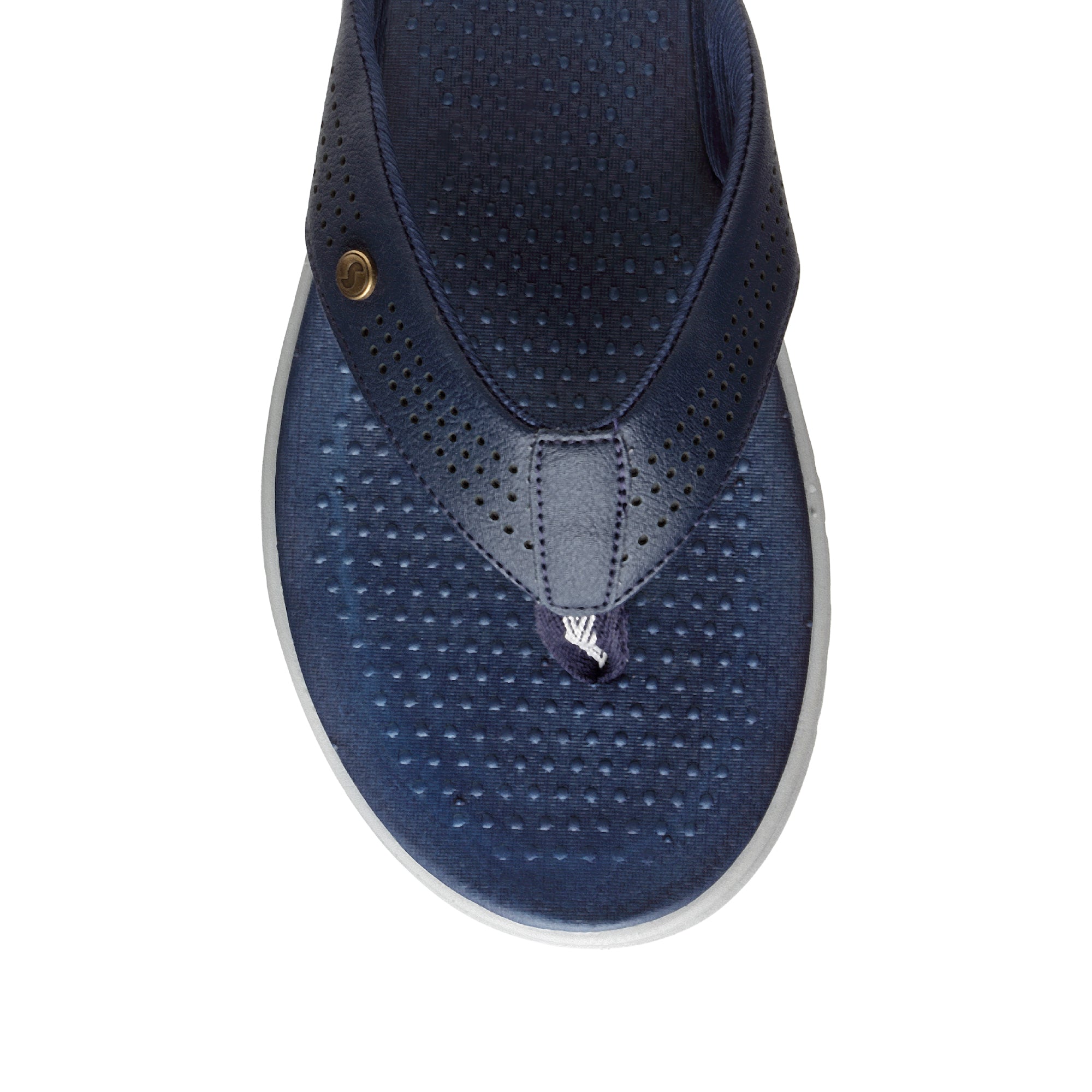 #color_navy