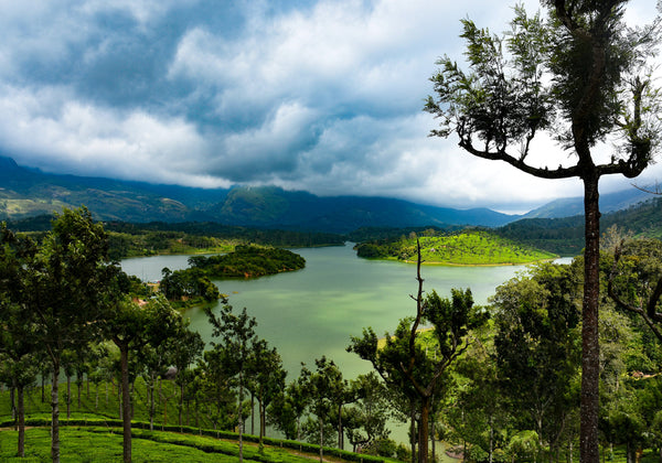 Top 10 Places To Visit In Munnar